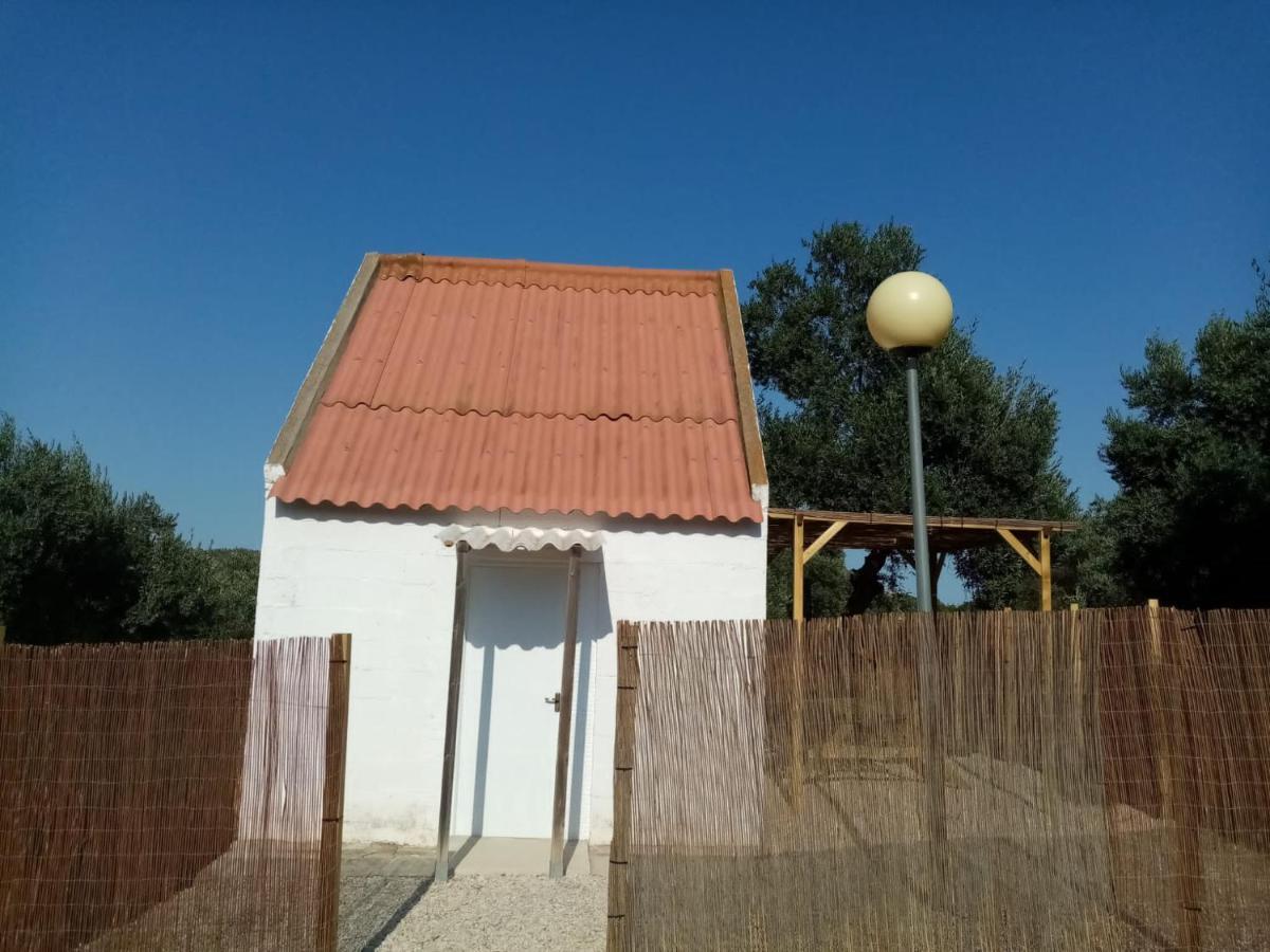 Camping Riba-Roja Εξωτερικό φωτογραφία