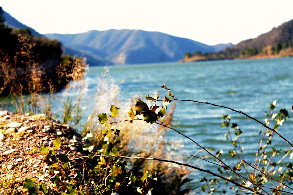 Camping Riba-Roja Δωμάτιο φωτογραφία